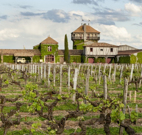 Graves, Pessac-Léognan